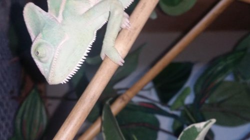 20150926_171747.jpg