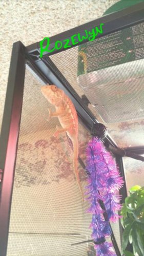 2015-09-25 23.09.29.jpg