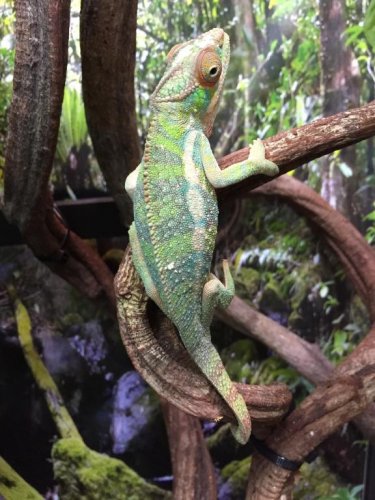 Photo Sep 30, 12 40 45 PM.jpg