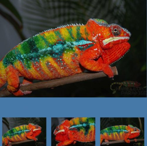 Screenshot at Sep 30 14-27-21.jpg