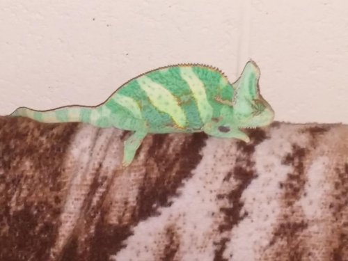 20150930_201611.jpg