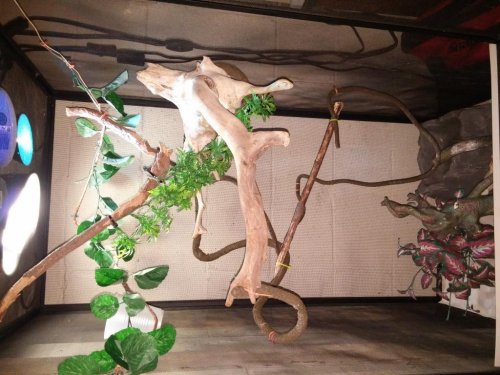 20150930_201525.jpg