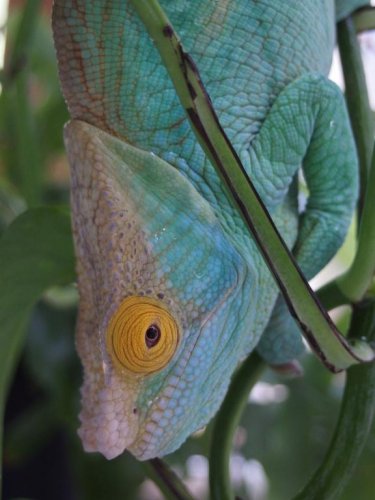 PA080106.jpg