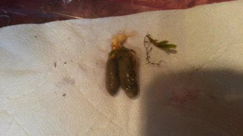 20151013_154444.jpg