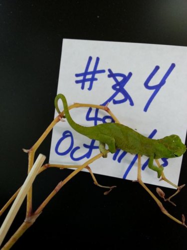 20151011_090048.jpg