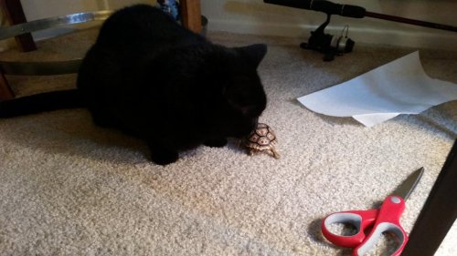20151018_172802.jpg
