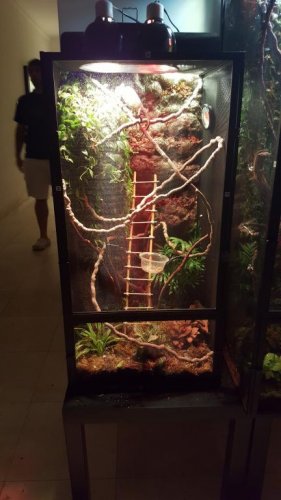 20151108_214435.jpg