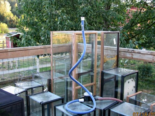 outside misting system 006.jpg outside misting system 006.jpg