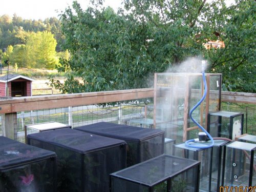 outside misting system 007.jpg outside misting system 007.jpg