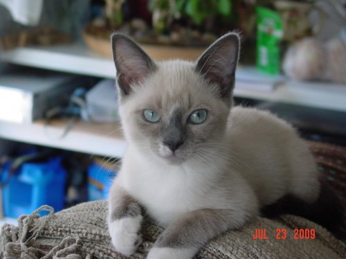 July 23 2009 012.jpg