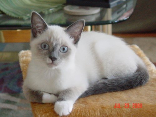 July 23 2009 002.jpg
