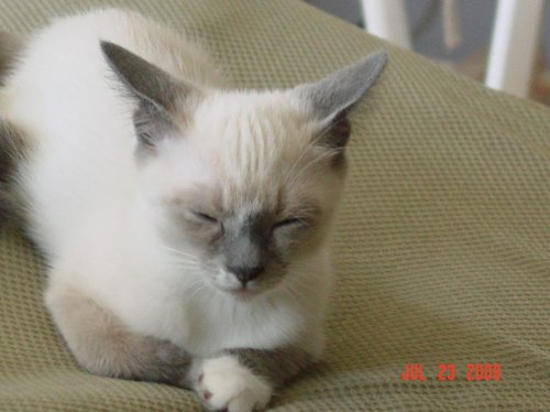July 23 2009 024.jpg