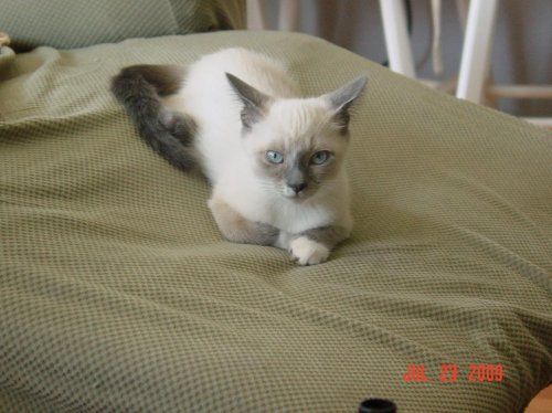 July 23 2009 022.jpg