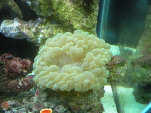 DSCN0596.jpg