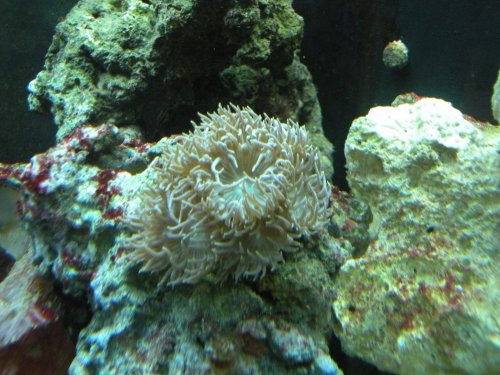 DSCN0878.jpg