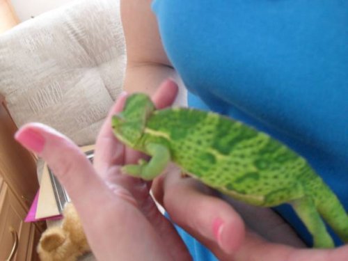 Hand 2.jpg