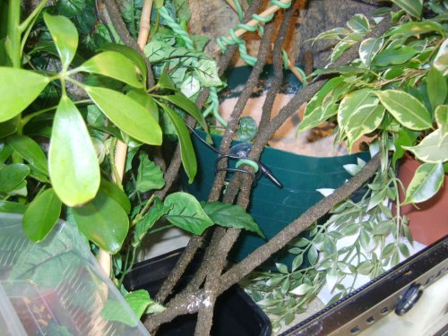 LAYING BIN PHOTOS 011.JPG