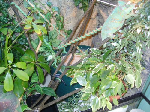 LAYING BIN PHOTOS 013.JPG