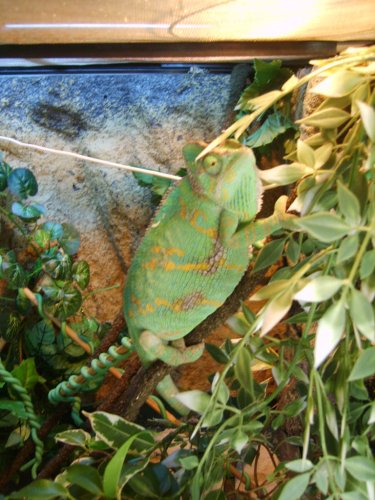 LAYING BIN PHOTOS 014.JPG