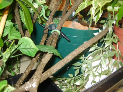 LAYING BIN PHOTOS 016.JPG