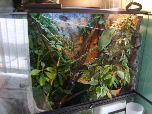 LAYING BIN PHOTOS 017.JPG