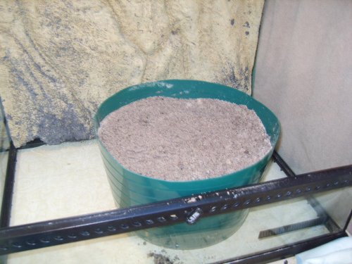 New cage and laying bin 001.JPG