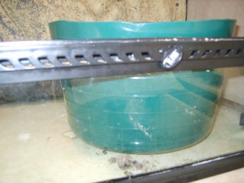 New cage and laying bin 002.JPG