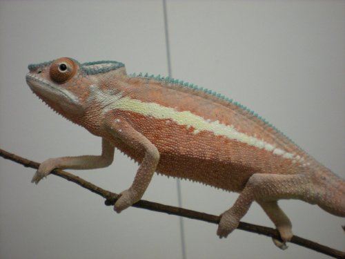 DSCN1388.JPG