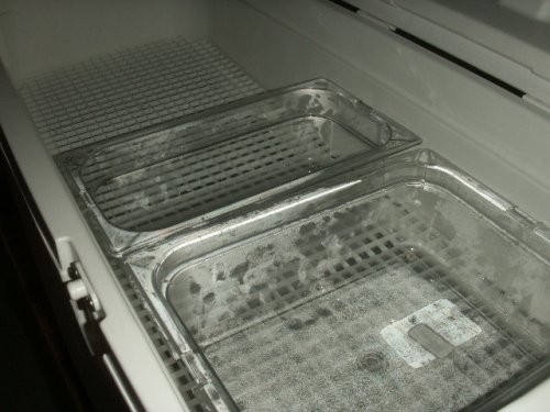 Incubator and Blk Text Cages 008.JPG