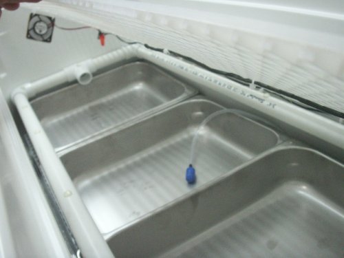 Incubator and Blk Text Cages 004.JPG