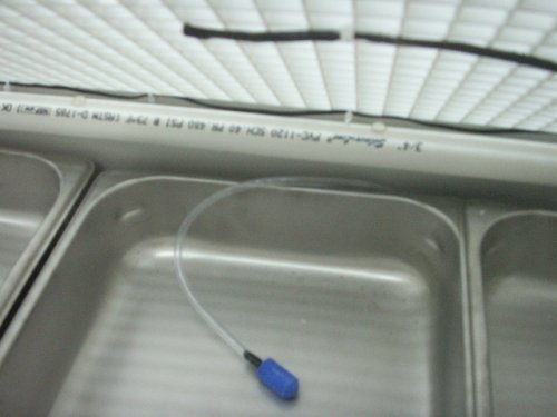 Incubator and Blk Text Cages 002.JPG