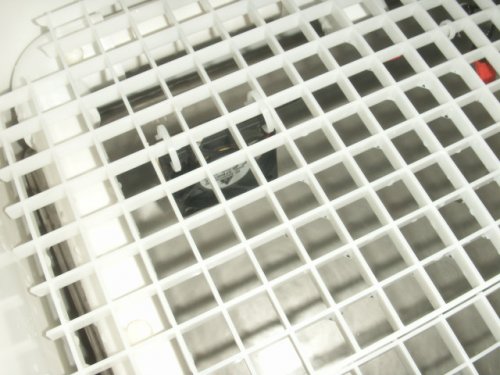 Incubator and Blk Text Cages 010.JPG