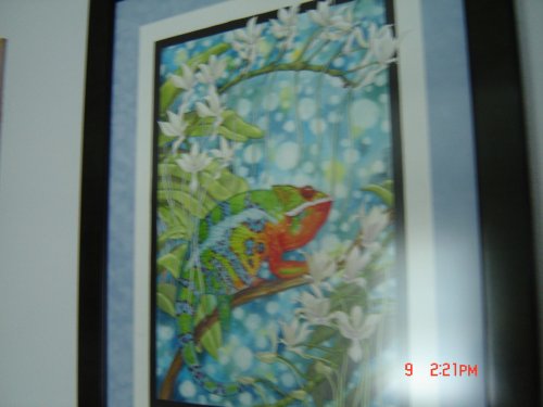 DSC03060.jpg
