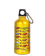 Chameleon water bottle.jpg
