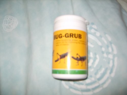 Bug grub 007.JPG