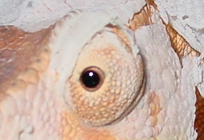 DSC03784.JPG