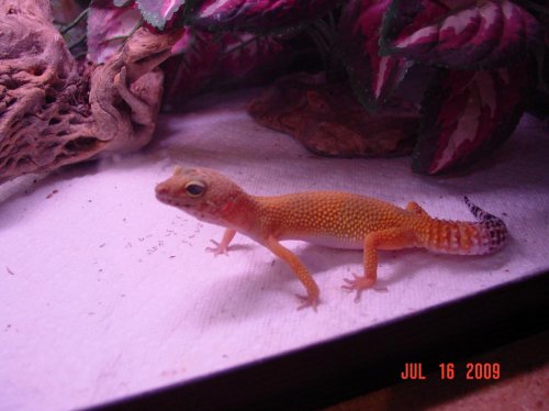 July 2009 145.jpg