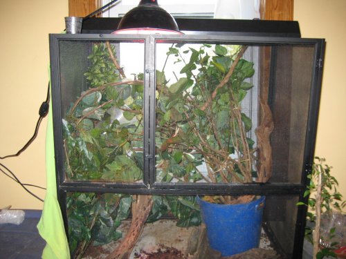 July 25 2009 pics 056.jpg