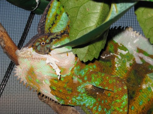 July 25 2009 pics 058.jpg