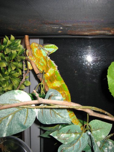 July 25 2009 pics 044.jpg