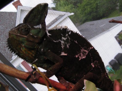 July 25 2009 pics 042.jpg