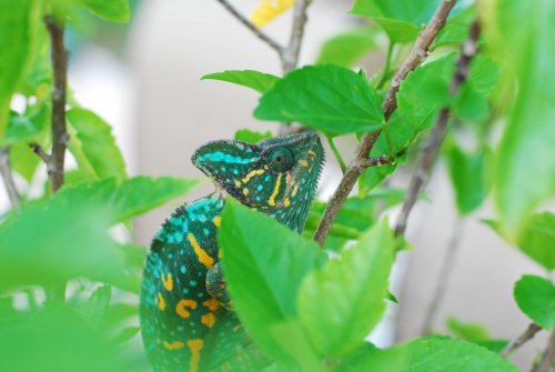 luie aug 17 2009 138.jpg