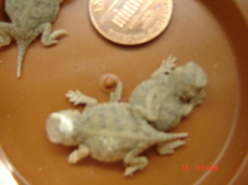DSC03066.jpg