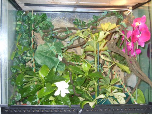 old p[ictures 077.JPG