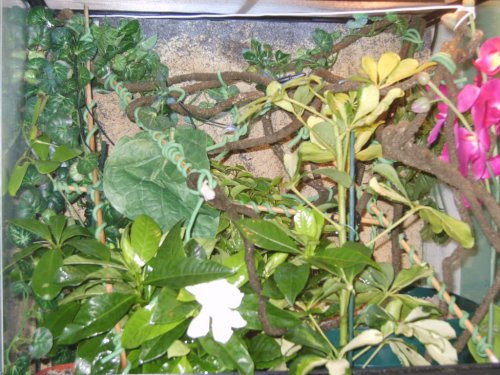 old p[ictures 078.JPG