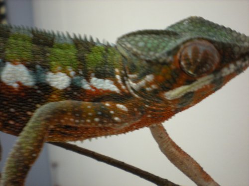 DSCN1399.JPG
