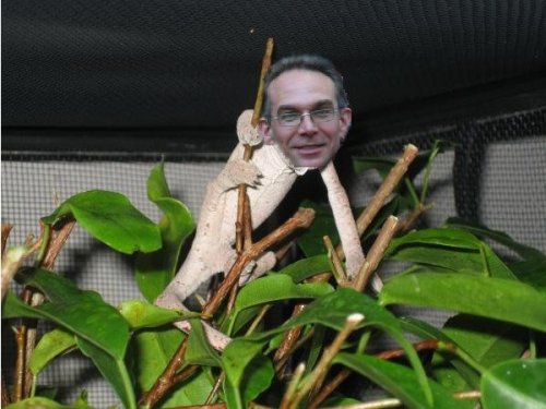 cham dave.jpg