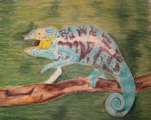 July 25 2009 pics.jpg