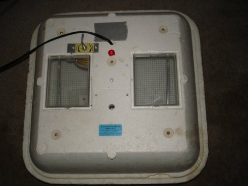 04.jpg