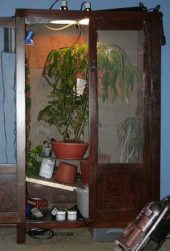 urlich's crib.jpg
